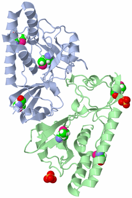 Image Biological Unit 5