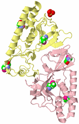 Image Biological Unit 6