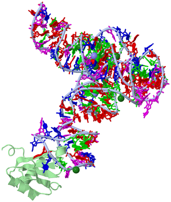 Image Asym./Biol. Unit