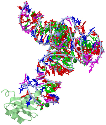 Image Asym./Biol. Unit - sites