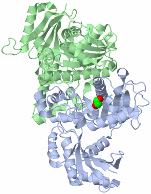 Image Asym./Biol. Unit