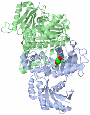 Image Asym./Biol. Unit - sites