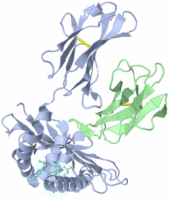 Image Biological Unit 1