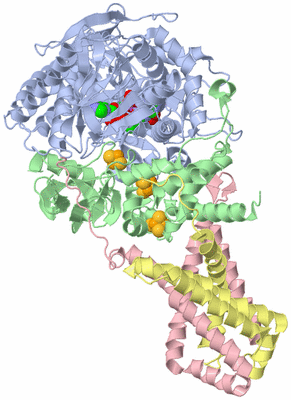 Image Biological Unit 1