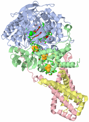 Image Biol. Unit 1 - sites