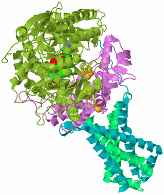 Image Biological Unit 2