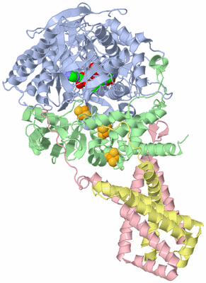 Image Biological Unit 1