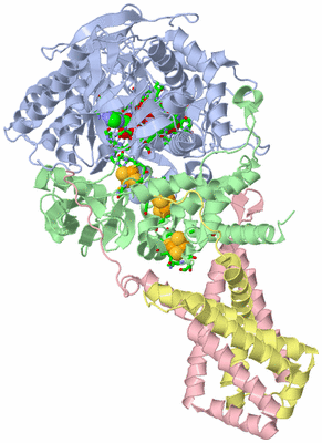 Image Biol. Unit 1 - sites