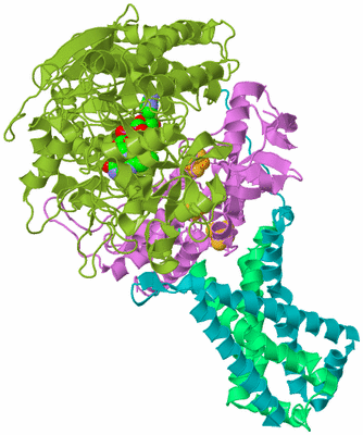 Image Biological Unit 2