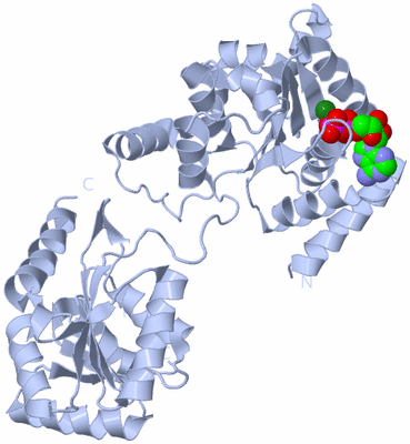 Image Biological Unit 1