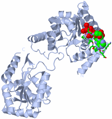 Image Biol. Unit 1 - sites