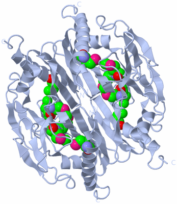 Image Biological Unit 1