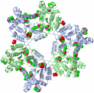 Image Biological Unit 2