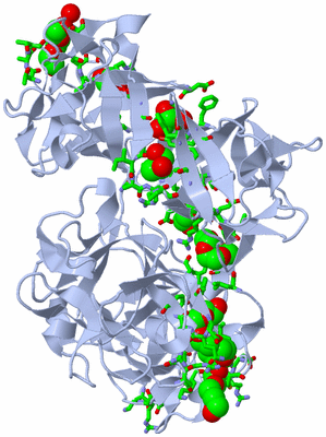 Image Biol. Unit 1 - sites