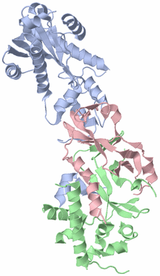 Image Biological Unit 1