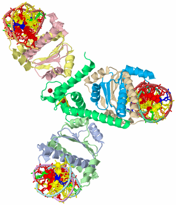 Image Asym./Biol. Unit