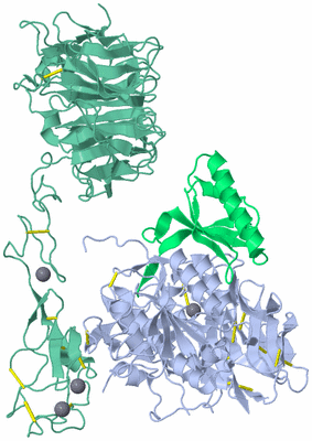 Image Asym./Biol. Unit