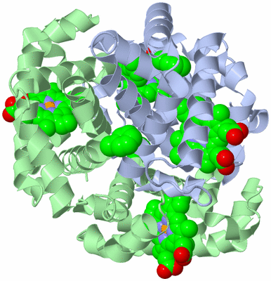 Image Biological Unit 1