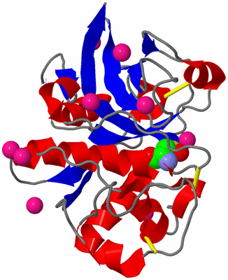 Image Asym./Biol. Unit