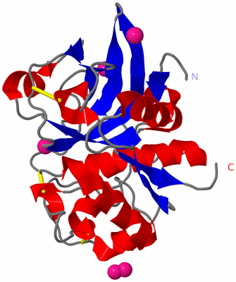 Image Asym./Biol. Unit