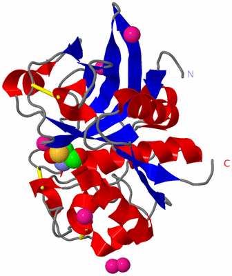 Image Asym./Biol. Unit