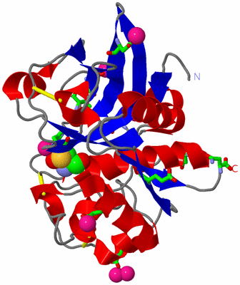 Image Asym./Biol. Unit - sites