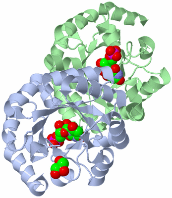 Image Asym./Biol. Unit