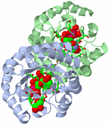 Image Asym./Biol. Unit - sites