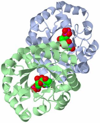 Image Asym./Biol. Unit