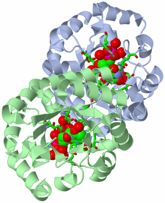 Image Asym./Biol. Unit - sites