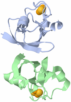 Image Asymmetric Unit