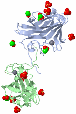 Image Biological Unit 1