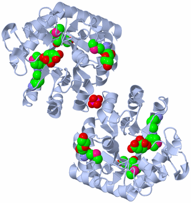 Image Biological Unit 2