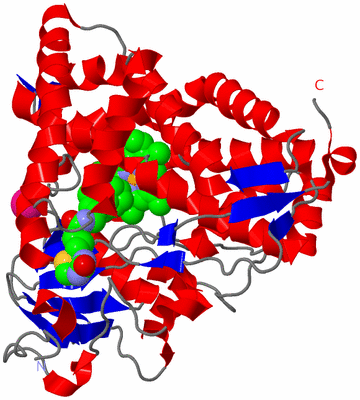 Image Asym./Biol. Unit