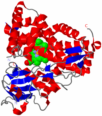 Image Asym./Biol. Unit