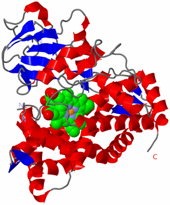 Image Asym./Biol. Unit