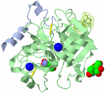 Image Biological Unit 1