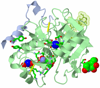 Image Biol. Unit 1 - sites