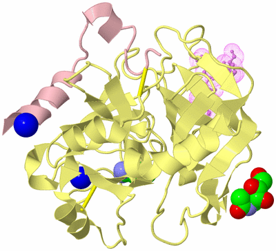 Image Biological Unit 2