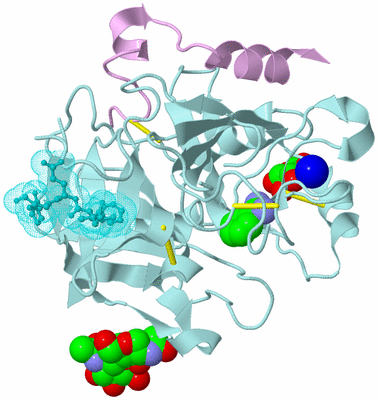 Image Biological Unit 3