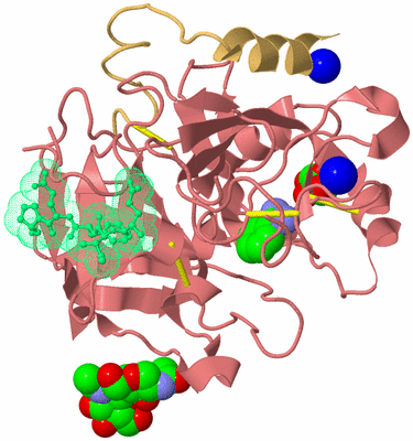 Image Biological Unit 4