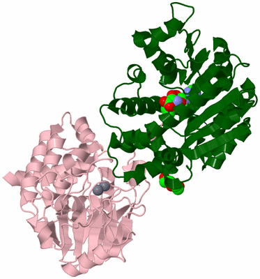 Image Asym./Biol. Unit