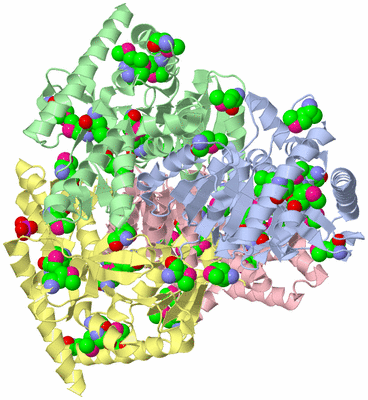 Image Asym./Biol. Unit