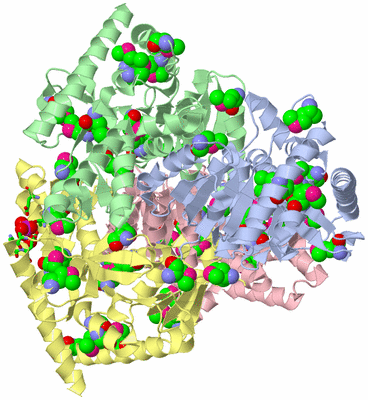 Image Asym./Biol. Unit - sites