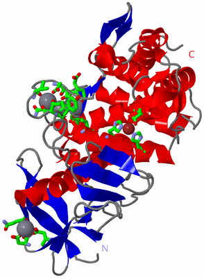 Image Asym./Biol. Unit - sites