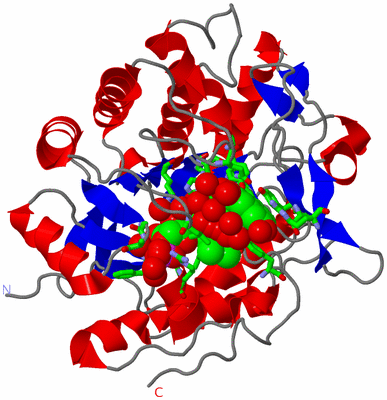 Image Asym./Biol. Unit - sites