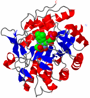 Image Asym./Biol. Unit