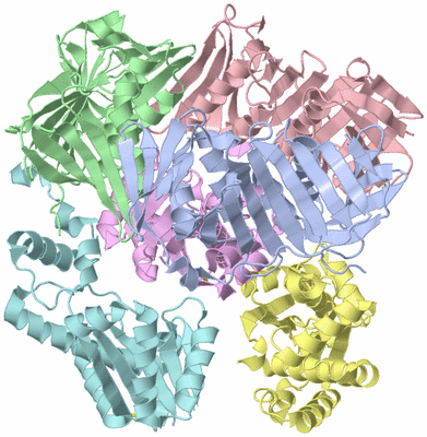 Image Asym./Biol. Unit