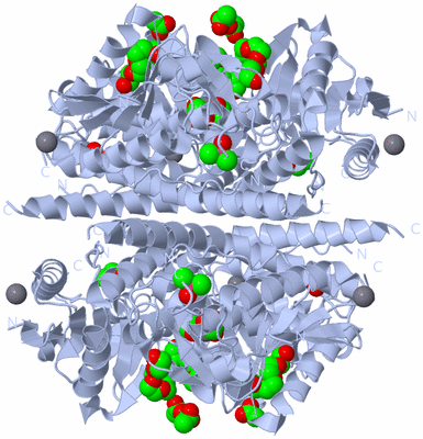 Image Biological Unit 1