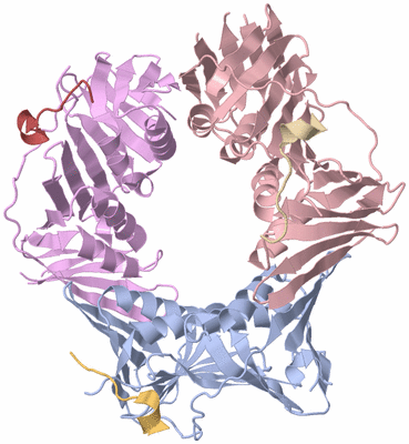 Image Biological Unit 1